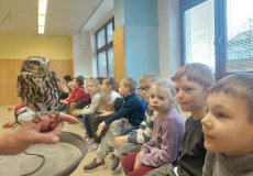 Sovy ze stanice Penthea