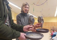 Sovy ze stanice Penthea