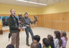 Sovy ze stanice Penthea