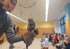 Sovy ze stanice Penthea