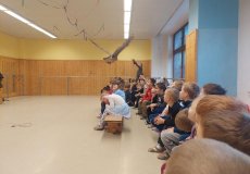 Sovy ze stanice Penthea