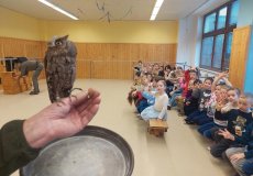 Sovy ze stanice Penthea