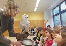 Sovy ze stanice Penthea