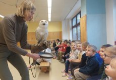 Sovy ze stanice Penthea