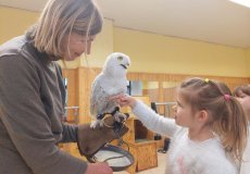 Sovy ze stanice Penthea