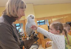 Sovy ze stanice Penthea