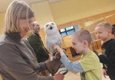 Sovy ze stanice Penthea