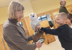 Sovy ze stanice Penthea