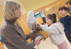 Sovy ze stanice Penthea