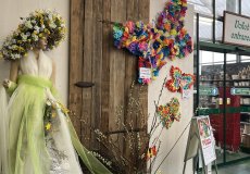 19.2. - Motýli mezi květinami 