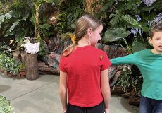 19.2. - Motýli mezi květinami 