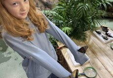 19.2. - Motýli mezi květinami 