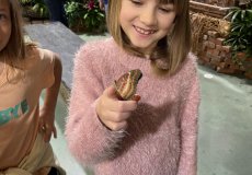 19.2. - Motýli mezi květinami 