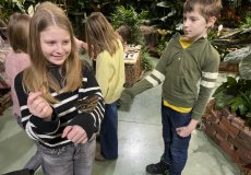 19.2. - Motýli mezi květinami 