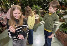 19.2. - Motýli mezi květinami 