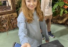 19.2. - Motýli mezi květinami 