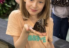 19.2. - Motýli mezi květinami 