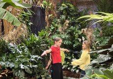 19.2. - Motýli mezi květinami 