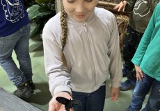 19.2. - Motýli mezi květinami 