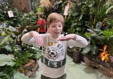 19.2. - Motýli mezi květinami 