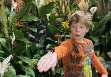 19.2. - Motýli mezi květinami 