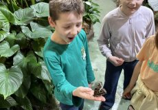 19.2. - Motýli mezi květinami 