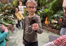 19.2. - Motýli mezi květinami 