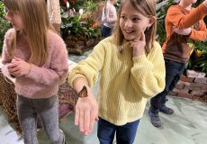 19.2. - Motýli mezi květinami 