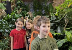 19.2. - Motýli mezi květinami 