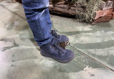 19.2. - Motýli mezi květinami 