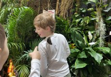 19.2. - Motýli mezi květinami 