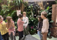 19.2. - Motýli mezi květinami 