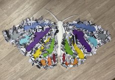 Soutěžní motýl ZŠ Emy Destinnové