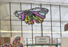 Soutěžní motýl ZŠ Emy Destinnové