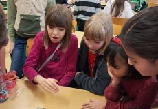 Vyprávíme příběhy podle obrázků. 