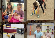 VOLEJBAL (PÍSKOVÁNÍ)