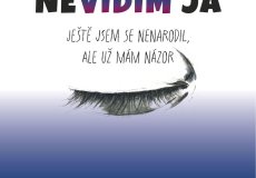 Jak to nevidím já