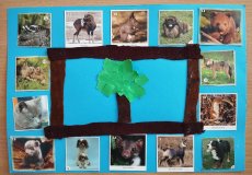 Maxův obrázek na téma přírody