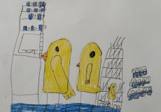 U dědy máme kuřátka. Jonáš Guth, 1. D.