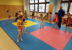 Sportík s trenérem juda