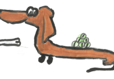 pes Hopík, Jiří Macháček, 5. A