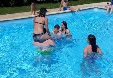 SVP SVP