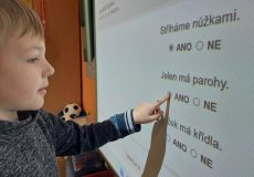 Čtení s porozuměním