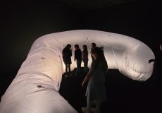 Kunsthalle