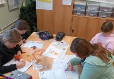 IMG_20260303_082911.jpg