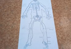IMG_20260303_090344.jpg