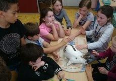 Živá prvouka :-) králík obecný - příspěvek Julie Oujezdské Živá prvouka :-) králík obecný - příspěvek Julie Oujezdské