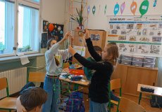 IMG_20260429_090158.jpg