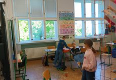 IMG_20260429_092636.jpg