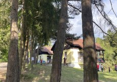 Týmové hry 